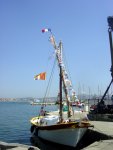 Esterello_2006