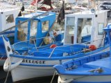 Belugue